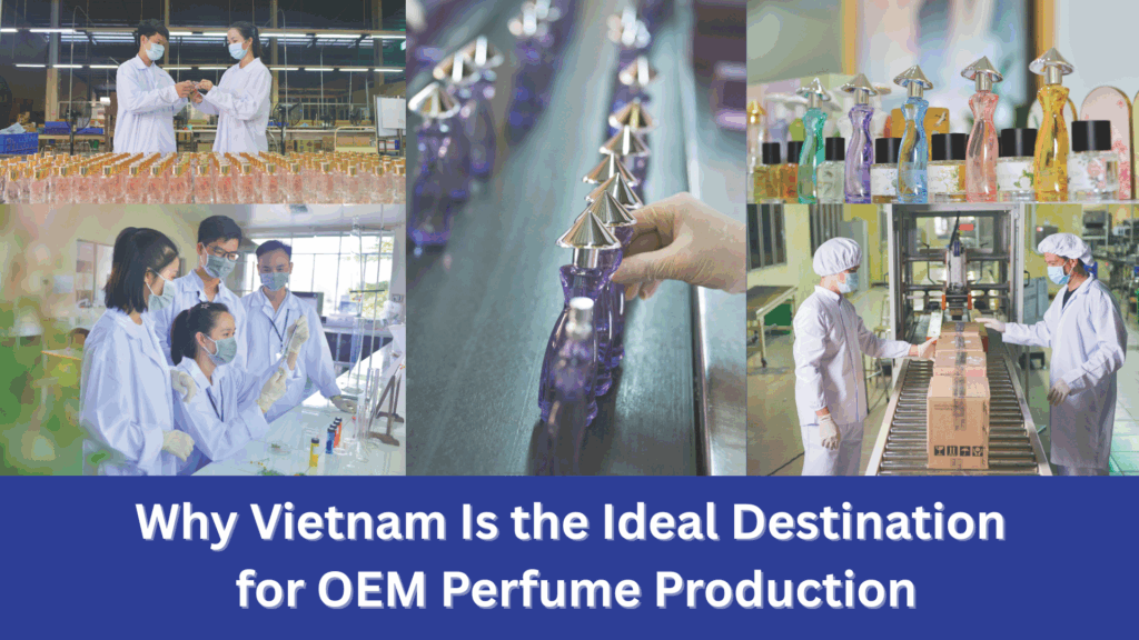 B2B Perfume Supplier for Philippines: Why Importers Choose Vietnam’s CGMP Manufacturers 4 How to Make Your Own Perfume Brand Professionally for the Future 1