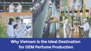 From Idea to Bottle: How to Make Your Own Perfume Brand Professionally 2 Why Vietnam Is the Ideal Destination for OEM Perfume Production